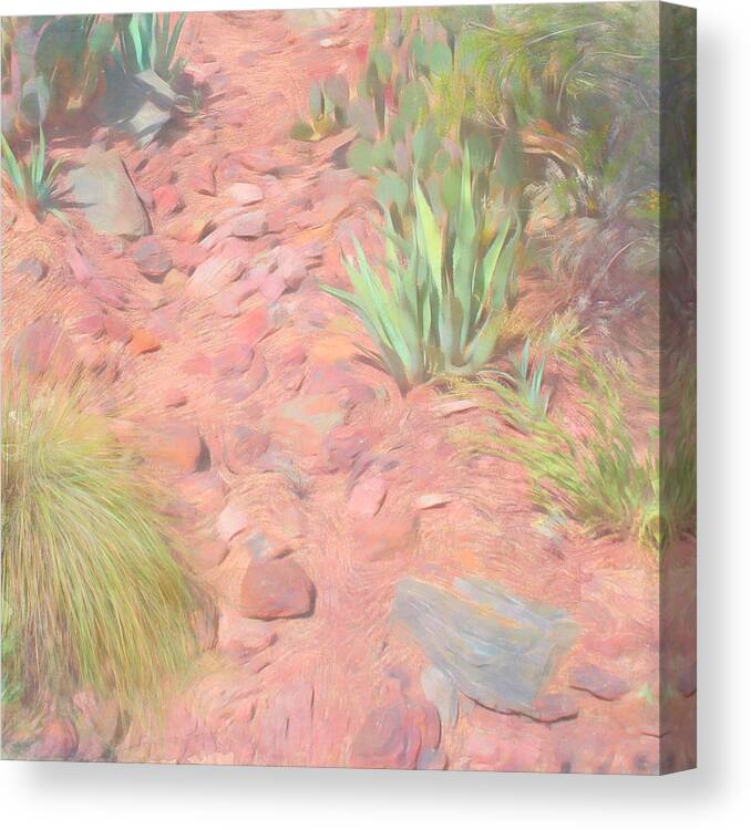 Desert Canvas Print featuring the photograph Nature Path by Aimee L Maher ALM GALLERY