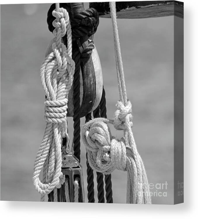 Rope Canvas Print featuring the photograph Nautical Series Trio by Dianne Morgado