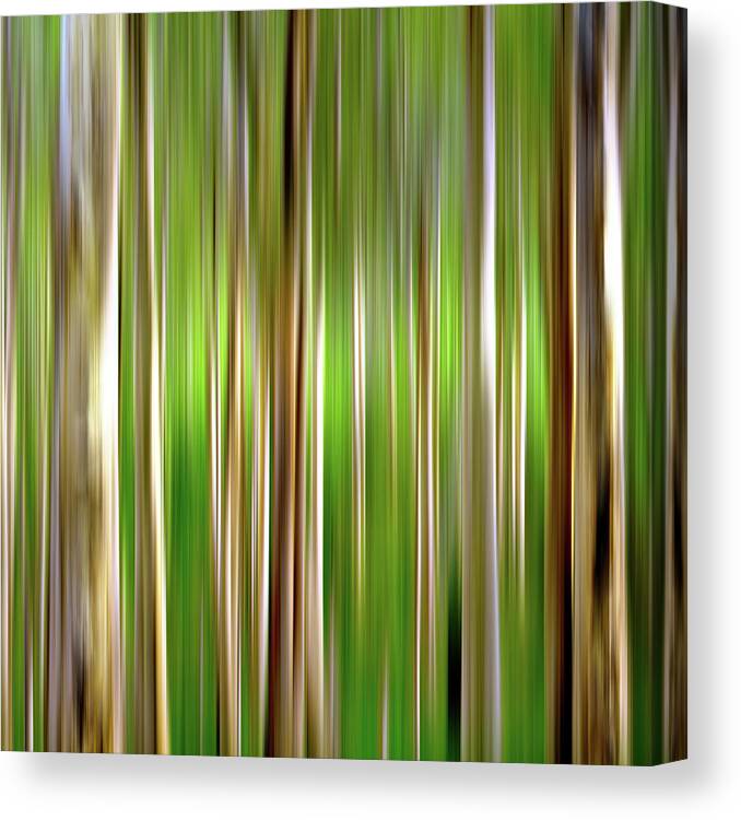 Boranup Forest Canvas Print featuring the photograph New Gangs Of The Old World Triptych_3 by Az Jackson