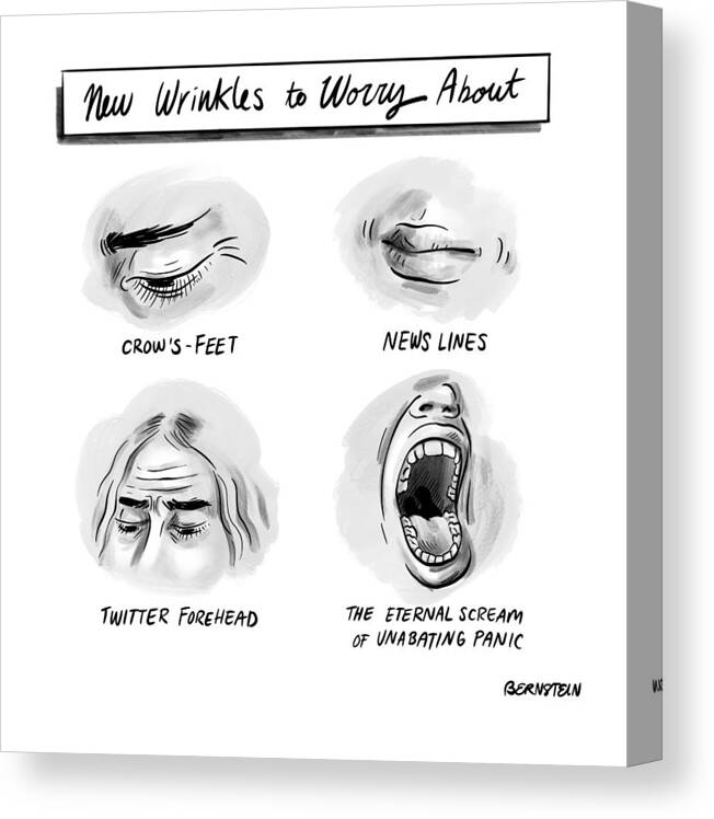  New Wrinkles To Worry About Canvas Print featuring the drawing New Wrinkles by Emily Bernstein