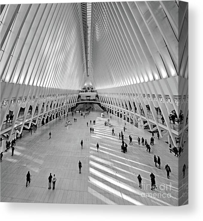 The Oculus Canvas Print featuring the photograph New York City, USA. The Oculus World Trade Center Transit Hub by Carlos Alkmin