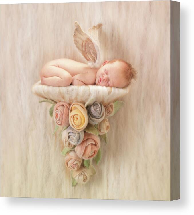 Angel Canvas Print featuring the photograph Newborn Angel with Roses by Anne Geddes