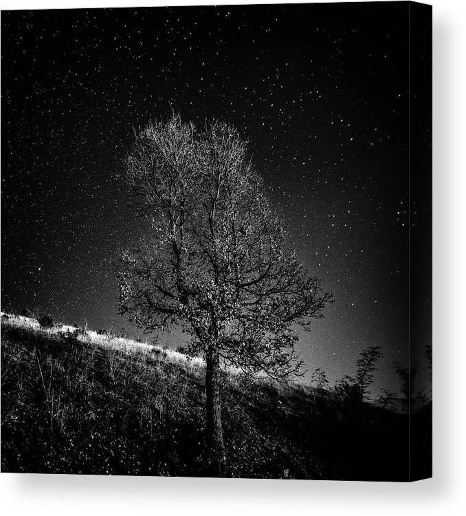 Black And White Canvas Print featuring the photograph Night on earth 10 by George Vlachos