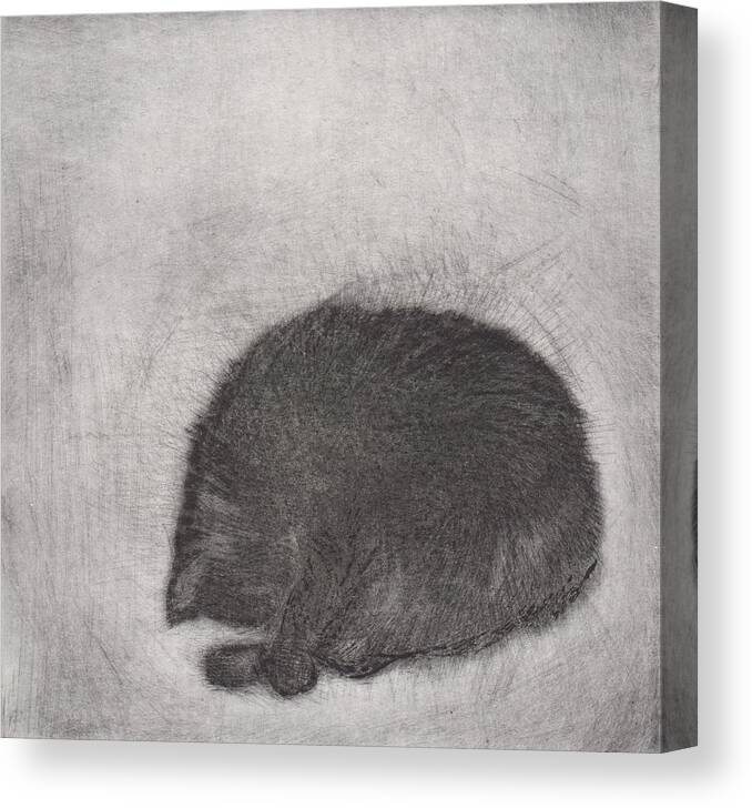 Cat Canvas Print featuring the drawing Nonchaloir - etching by David Ladmore