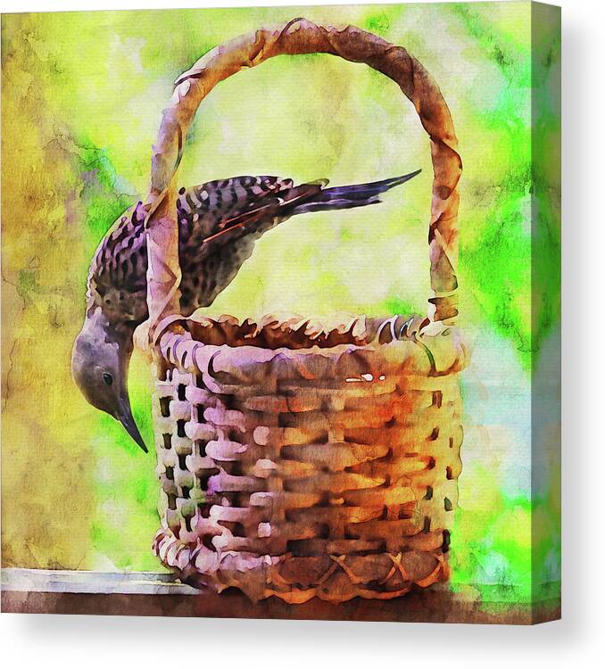 Flicker Canvas Print featuring the photograph Northern Flicker on a Basket by Peggy Collins
