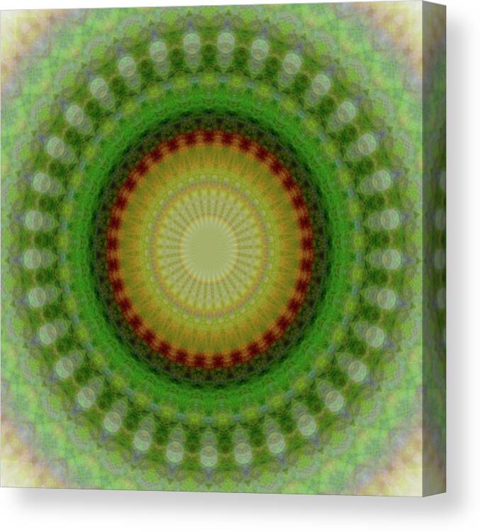 Canvas Print featuring the digital art P 2l 33d by Primary Design Co