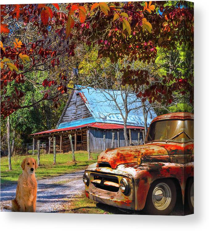 1951 Canvas Print featuring the photograph Ol' Country Rust in Square by Debra and Dave Vanderlaan
