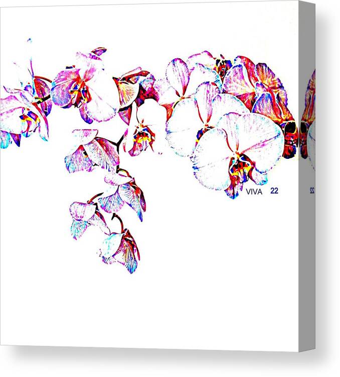Orchids On White Canvas Print featuring the photograph Orchids ON White-VIVA22 by VIVA Anderson