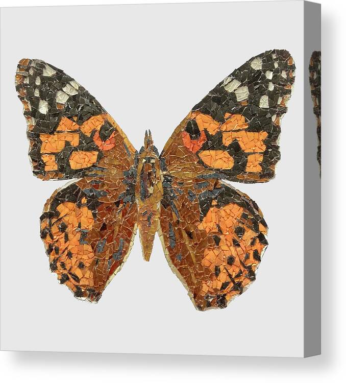 Butterfly Canvas Print featuring the mixed media Painted Lady by Matthew Lazure