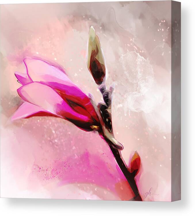 Saucer Magnolia Canvas Print featuring the digital art Panache by Gina Harrison