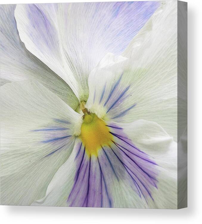 Flower Canvas Print featuring the photograph Pansy Macro by Cathy Kovarik