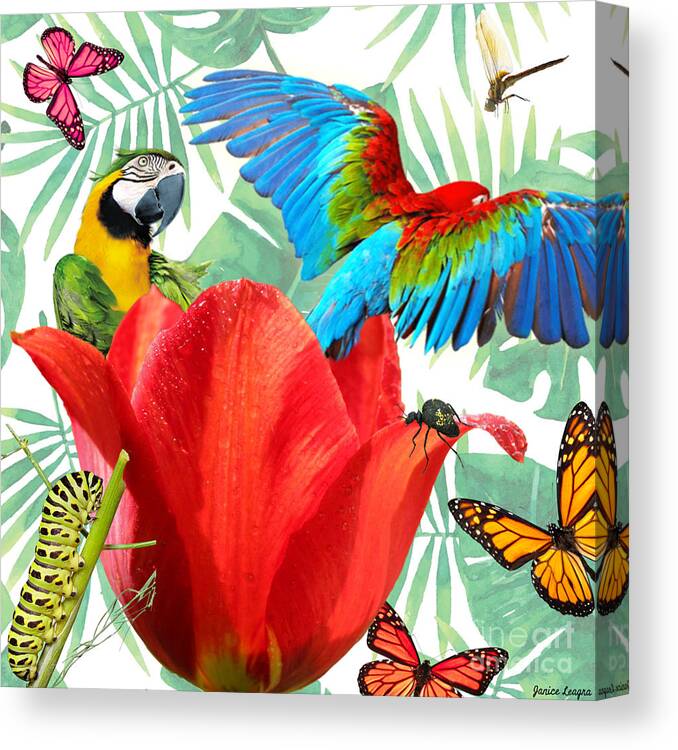 Parrots Canvas Print featuring the digital art Parrot Surprise by Janice Leagra