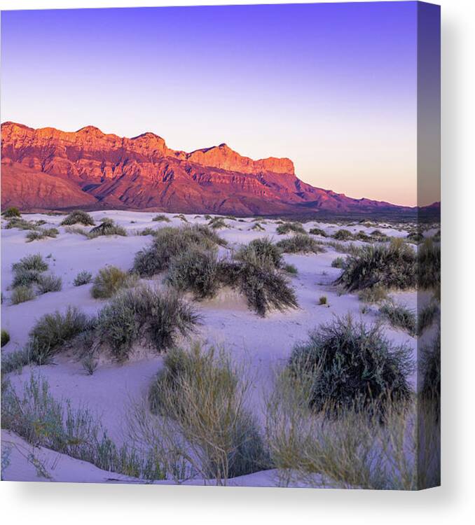 West Texas Canvas Print featuring the photograph Pastel Sky over Guadalupe Mountains by Erin K Images