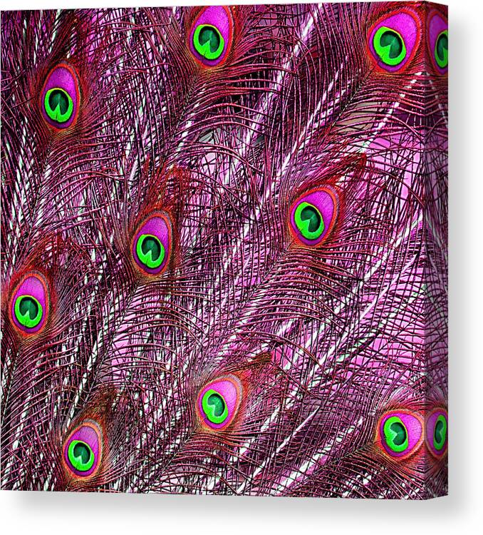 Feather Canvas Print featuring the photograph Peacock In Pink by World Art Collective