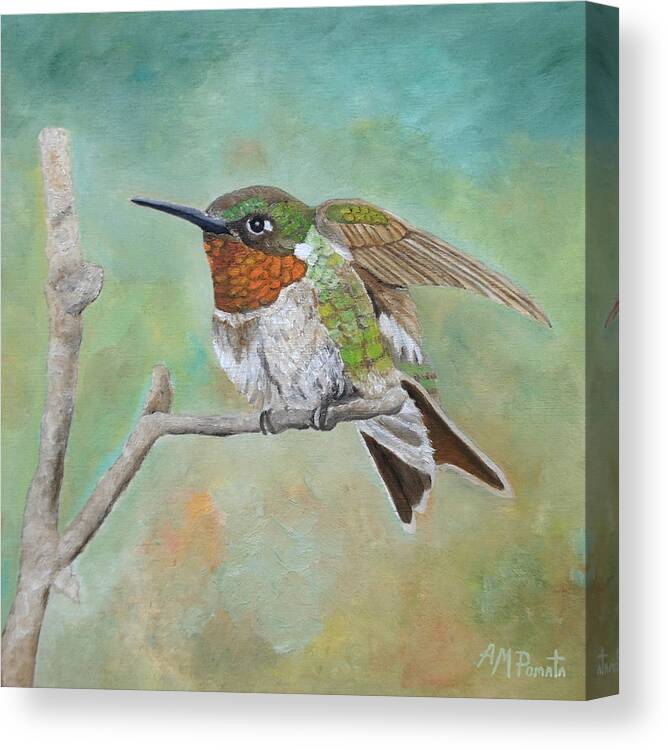 Hummingbird Canvas Print featuring the painting Perched In Place by Angeles M Pomata