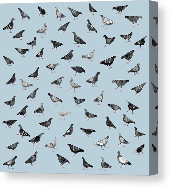 Pigeon Canvas Print featuring the painting Pigeons Doing Pigeon Things by Nic Squirrell