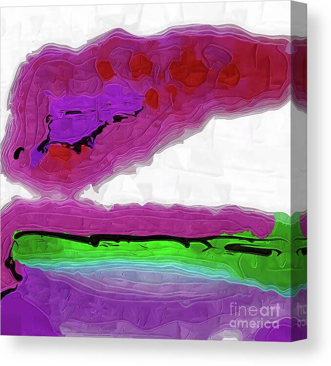 Digital Painting Canvas Print featuring the painting Pink Sherbert by Kirt Tisdale