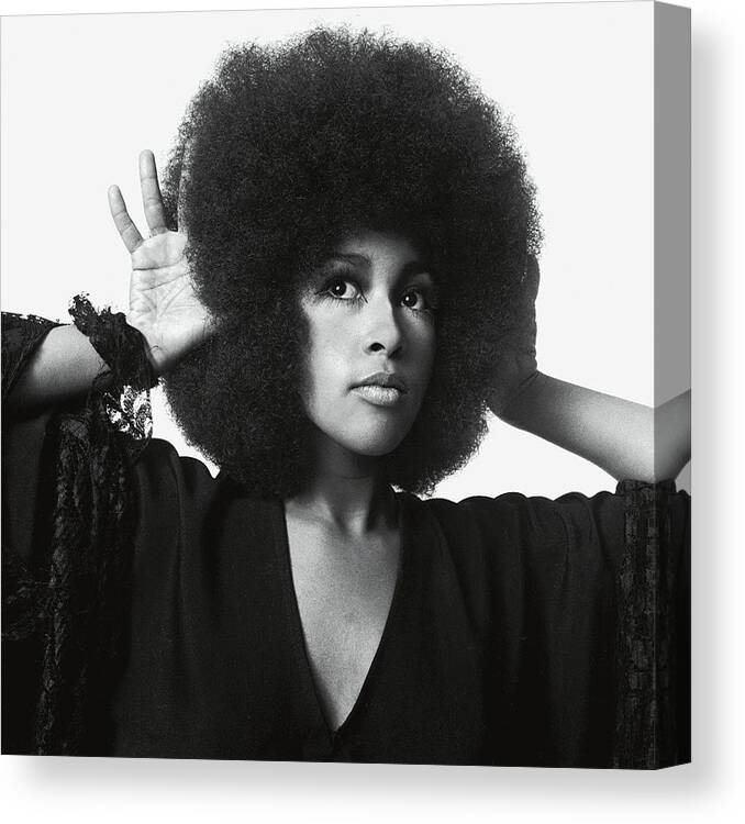Actress Canvas Print featuring the photograph Portrait of Marsha Hunt by Patrick Lichfield