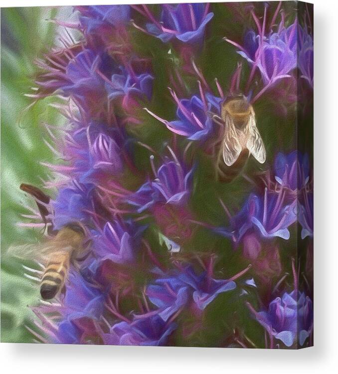 Bee Canvas Print featuring the photograph Pride of Madeira #1 by Rebecca Herranen