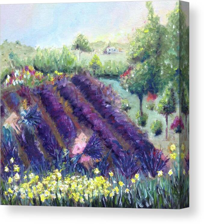 Provence Canvas Print featuring the painting Provence Lavender Farm by Roxy Rich