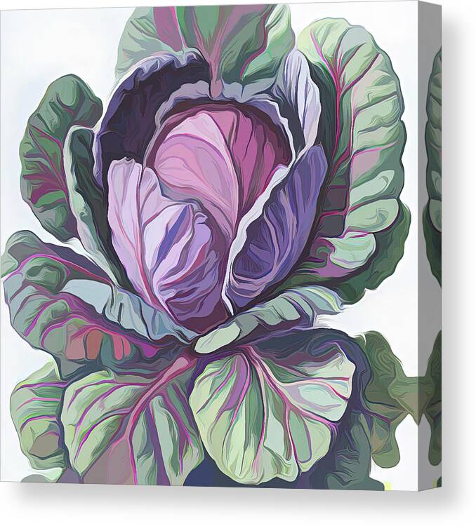 Purple Cabbage Canvas Print featuring the digital art Purple Cabbage painting by Cathy Anderson