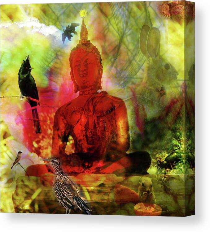 Phainopepla Canvas Print featuring the photograph Red Buddha With Birds by Perry Hoffman