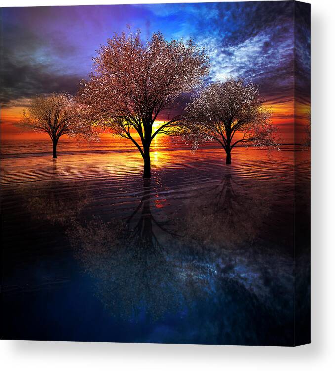 Clouds Canvas Print featuring the photograph Reflections of Color Nightfall by Debra and Dave Vanderlaan