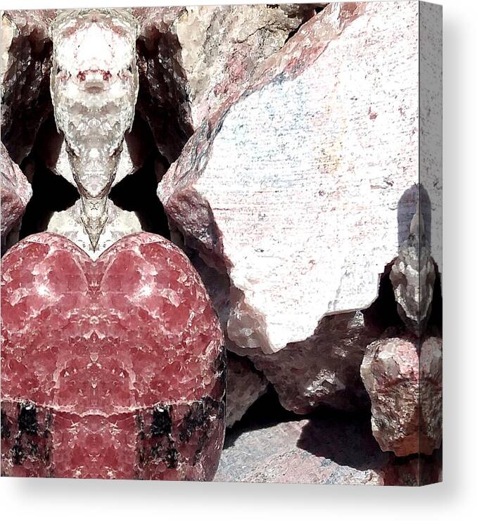 Rhodonite Canvas Print featuring the photograph Rhodonite Shield by Stephenie Zagorski
