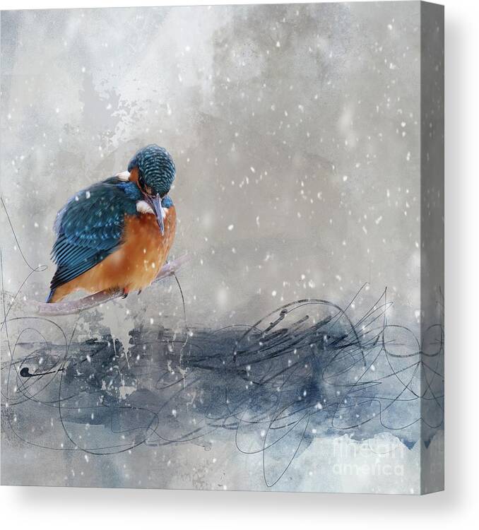 European Kingfisher Canvas Print featuring the mixed media River Kingfisher in Winter by Eva Lechner