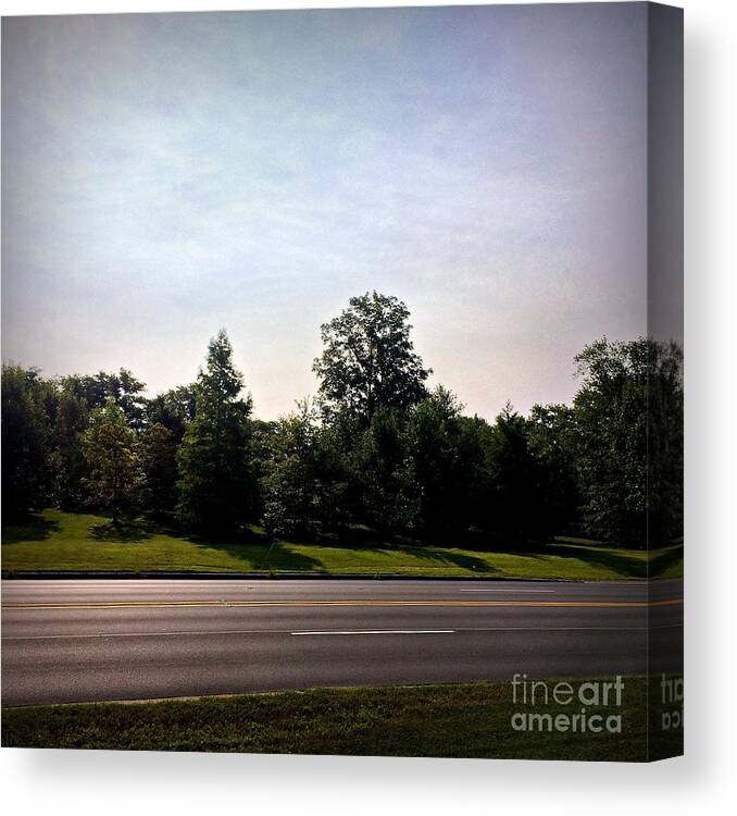 Landscape Art Photography Canvas Print featuring the photograph Roadside Sky by Frank J Casella