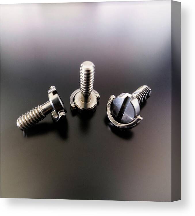 1/4 Inch Canvas Print featuring the photograph Screws triplet by Micah Offman