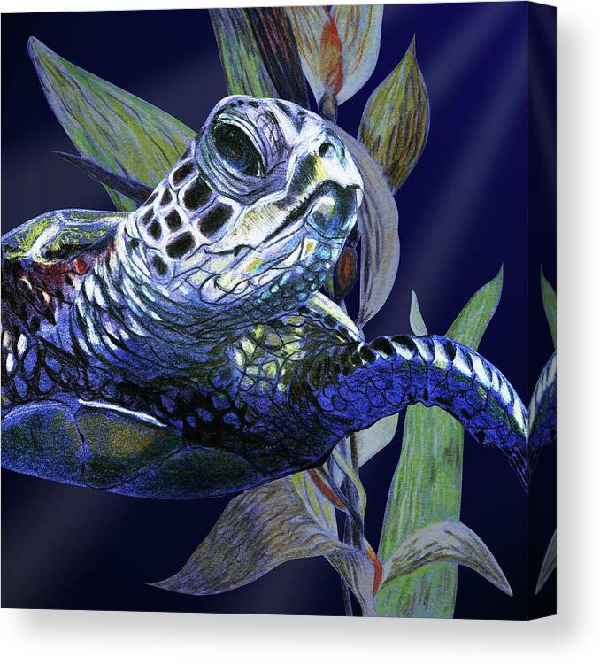 Seaturtle Canvas Print featuring the painting Sea Turtle in Dark Water by Masha Batkova