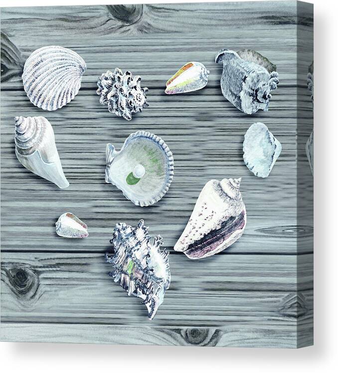 Shell Heart Canvas Print featuring the painting Silver Gray Seashells Heart On Ocean Shore Wooden Deck Beach House Art by Irina Sztukowski