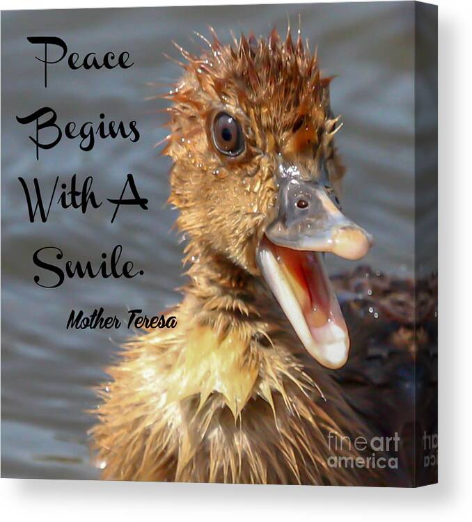 Duckling Canvas Print featuring the photograph Smile by Joanne Carey