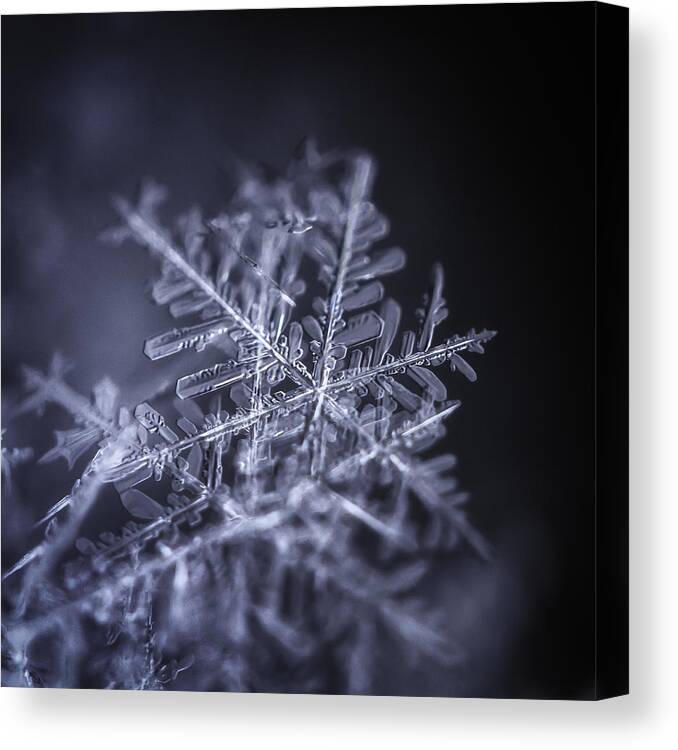Outdoors Canvas Print featuring the photograph Snowflakes by LazyPixel / Brunner Sébastien
