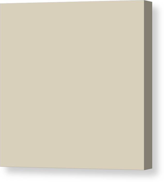 Solid Canvas Print featuring the digital art Solid Tan Color by Delynn Addams