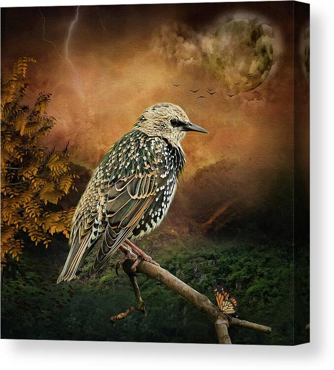 Starling Canvas Print featuring the digital art Starling by Maggy Pease