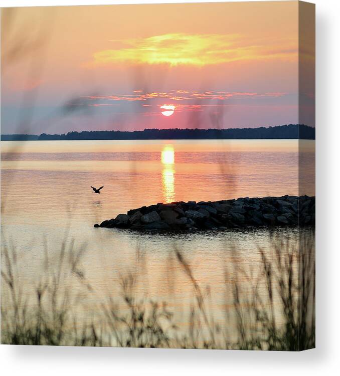 Jamestown Beach Canvas Print featuring the photograph Summer Sunset at Jamestown Beach by Rachel Morrison