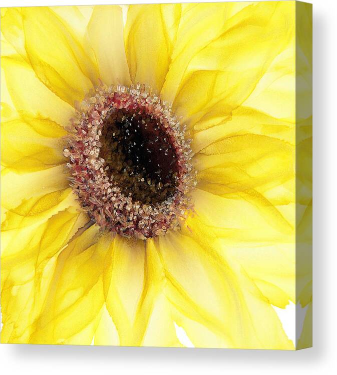 Sunflower Canvas Print featuring the painting Sunflower of Peace No.1 by Kimberly Deene Langlois