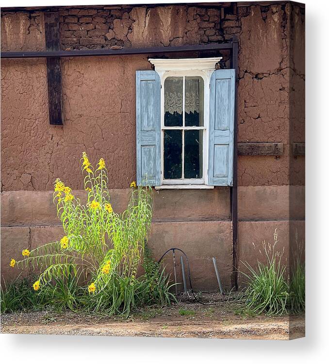 New Mexico Canvas Print featuring the photograph Sunflowers and Blue Shuttered Adobe in La Cueva New Mexico by Mary Lee Dereske