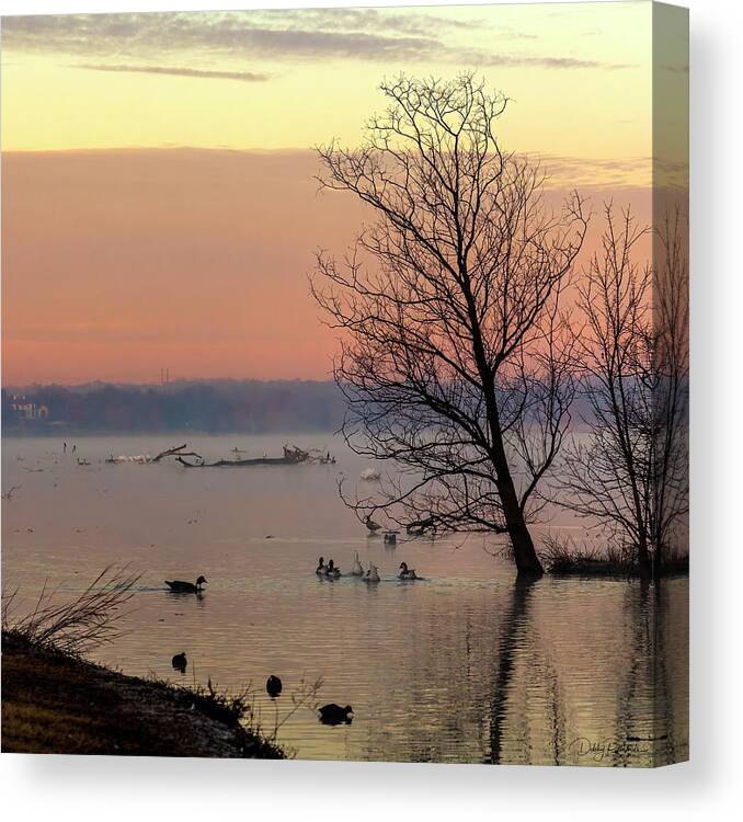 Sunrise Canvas Print featuring the photograph Sunrise at White Rock Lake by Debby Richards