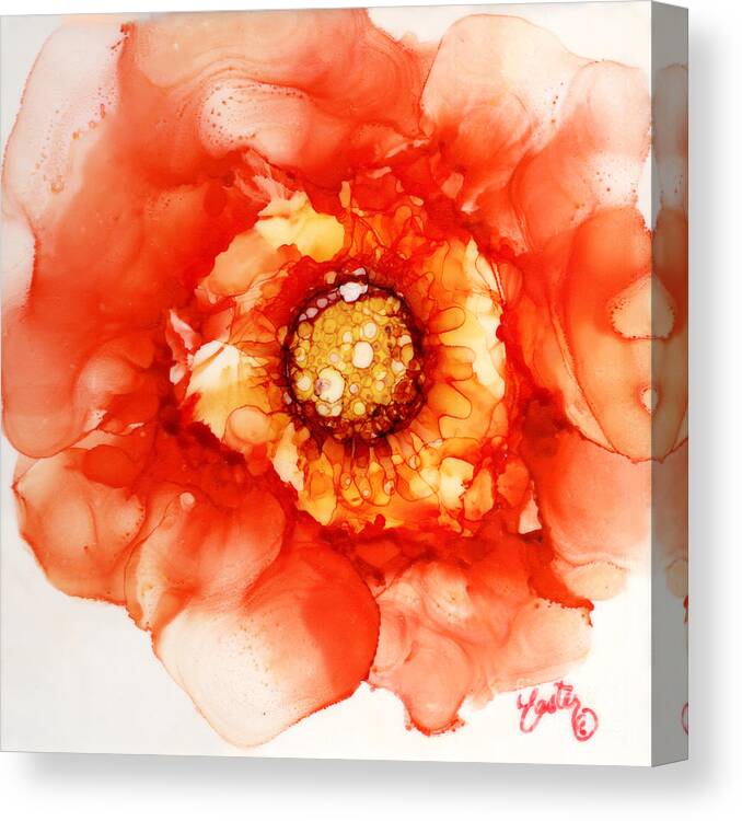 Tangerine Wild Rose Canvas Print featuring the painting Tangerine Wild Rose by Daniela Easter