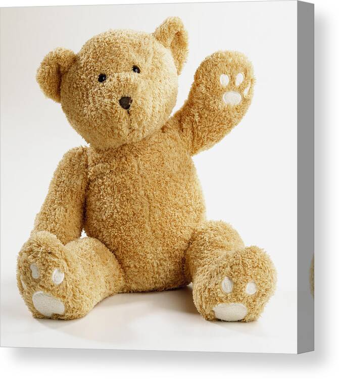 White Background Canvas Print featuring the photograph Teddy bear waving by Dave King
