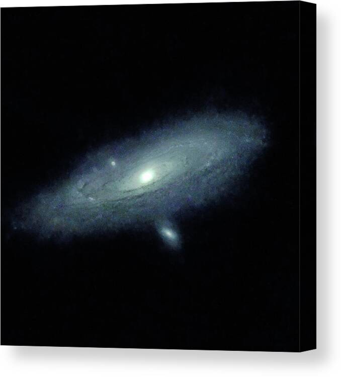 Space Canvas Print featuring the photograph The Andromeda Galaxy Starless - 10/2021 by Rich Kovach