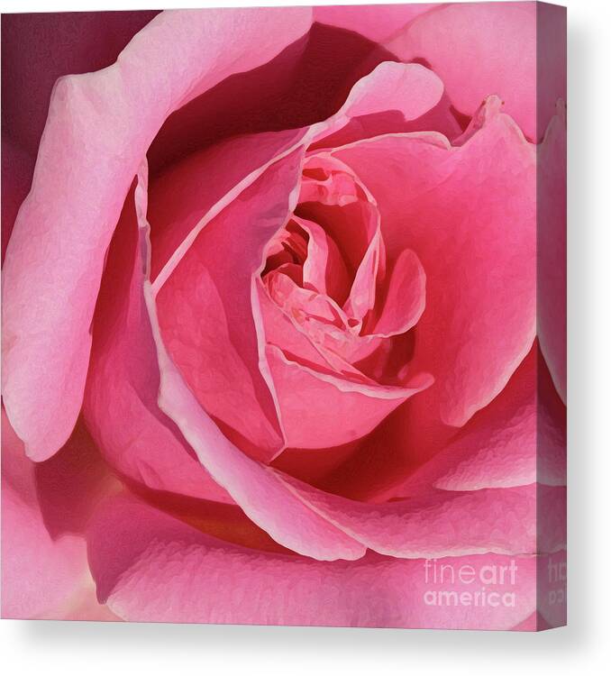 Rose; Roses; Flowers; Flower; Floral; Flora; Pink; Pink Rose; Pink Flowers; Digital Art; Photography; Painting; Simple; Decorative; Décor; Macro; Close-up Canvas Print featuring the photograph The Beauty of the Rose by Tina Uihlein