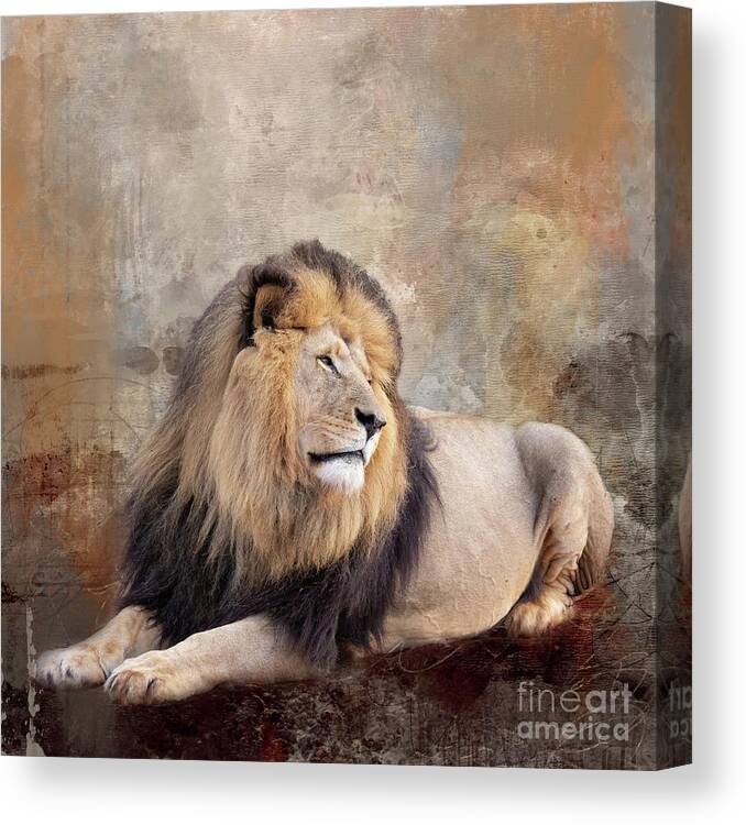 Lion Canvas Print featuring the photograph The King by Eva Lechner