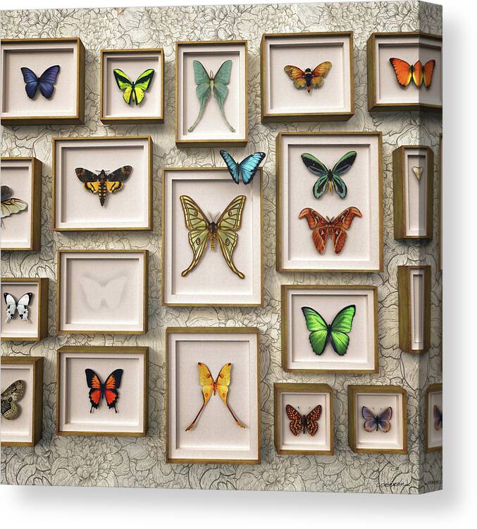 Butterfly Canvas Print featuring the digital art The One That Got Away by Cynthia Decker