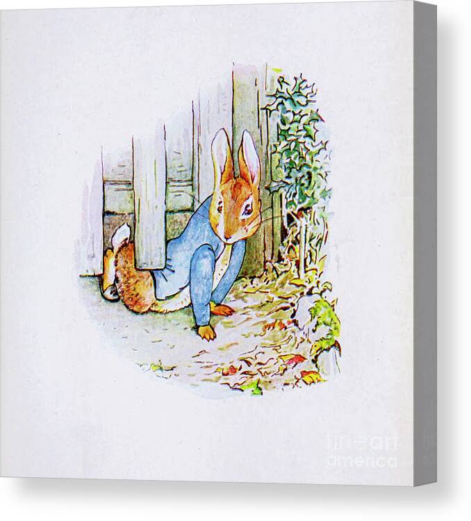  Canvas Print featuring the painting The Tale of Peter Rabbit ab15 by Historic Illustrations