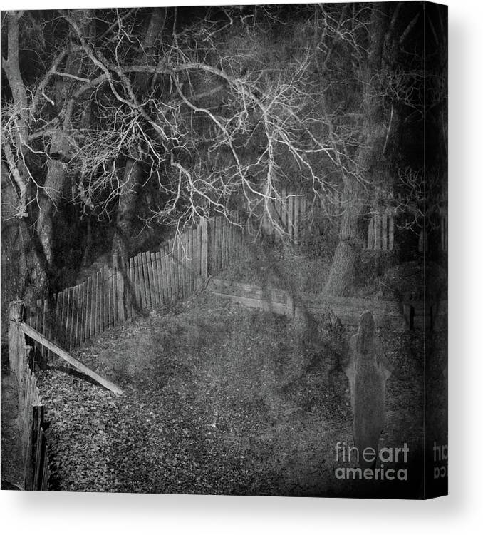 Ghost Canvas Print featuring the photograph The Visitor by Russell Brown