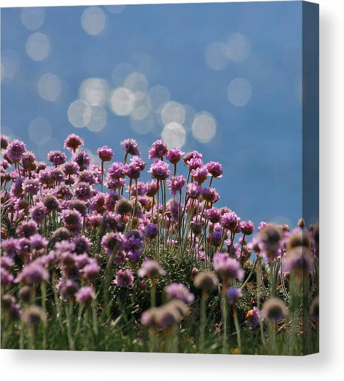 Outdoors Canvas Print featuring the photograph Thrift Bokeh by s0ulsurfing - Jason Swain
